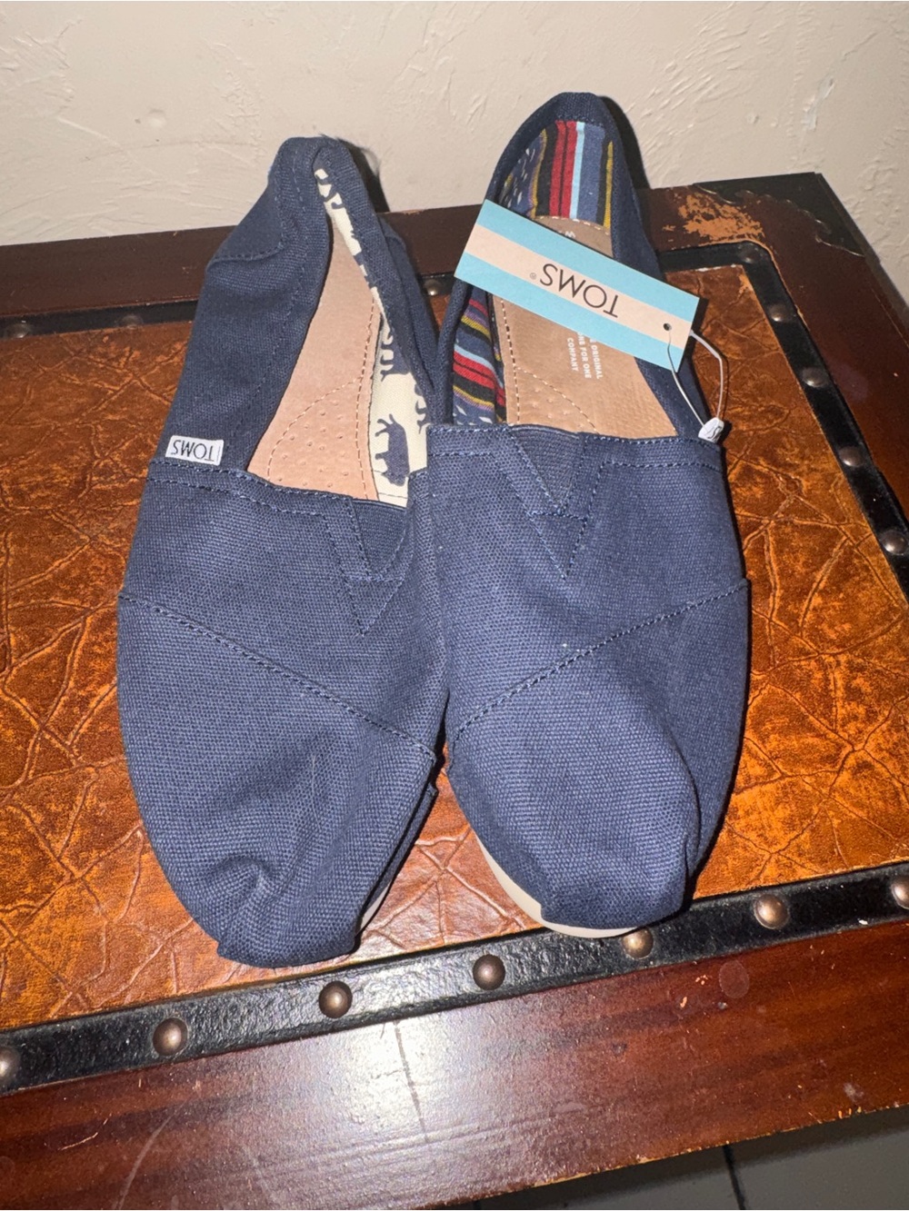 Toms Navy Canvas Slip-On Shoes with Striped Lining